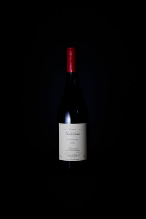 Domaine Guiberteau Saumur Rouge 'Les Moulins' 2021-Heritage Wine Store Perth CBD Bottleshop