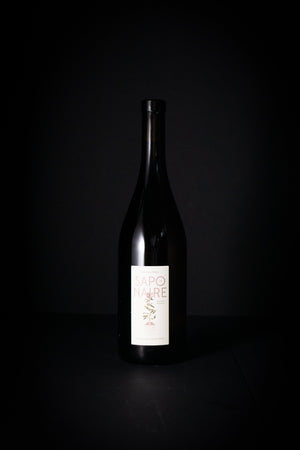 Domaine Ogereau Savennieres Chenin Blanc 'La Sapronaire' 2021-Heritage Wine Store Perth CBD Bottleshop