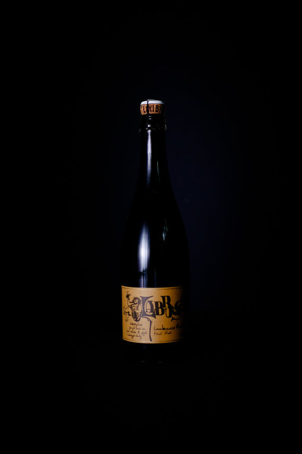 Lini 910 'Labrusca' Lambrusco Rosso-Heritage Wine Store Perth CBD Bottleshop