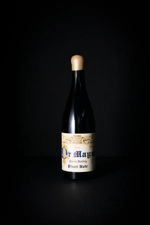 Timo Mayer Pinot Noir 'Dr Mayer' 2023-Heritage Wine Store Perth CBD Bottleshop